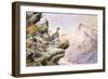 Ptarmigan on the High Tops-Carl Donner-Framed Giclee Print