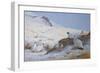 Ptarmigan-Archibald Thorburn-Framed Giclee Print