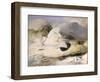 Ptarmigan-Edwin Henry Landseer-Framed Giclee Print