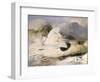 Ptarmigan-Edwin Henry Landseer-Framed Giclee Print