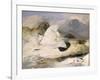 Ptarmigan-Edwin Henry Landseer-Framed Giclee Print