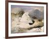 Ptarmigan-Edwin Henry Landseer-Framed Giclee Print