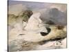 Ptarmigan-Edwin Henry Landseer-Stretched Canvas