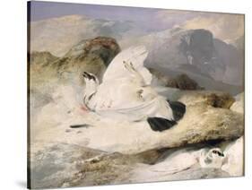 Ptarmigan-Edwin Henry Landseer-Stretched Canvas