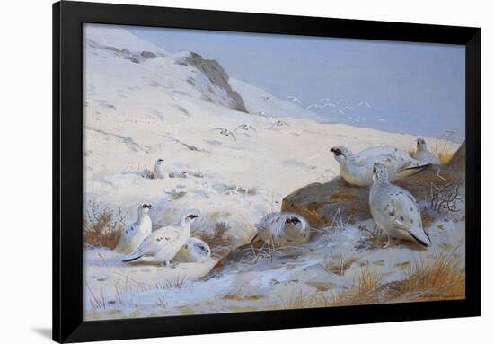 Ptarmigan-Archibald Thorburn-Framed Giclee Print