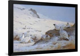 Ptarmigan-Archibald Thorburn-Framed Giclee Print