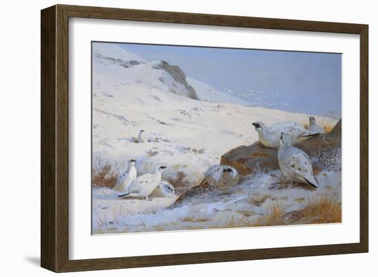 Ptarmigan-Archibald Thorburn-Framed Giclee Print