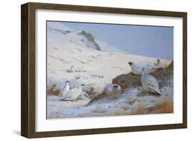 Ptarmigan-Archibald Thorburn-Framed Giclee Print