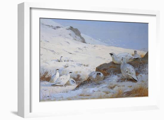 Ptarmigan-Archibald Thorburn-Framed Giclee Print