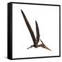 Pteranodon, a Reptilian Bird from the Late Cretaceous Period-null-Framed Stretched Canvas