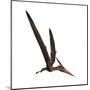 Pteranodon, a Reptilian Bird from the Late Cretaceous Period-null-Mounted Art Print