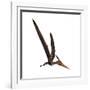 Pteranodon, a Reptilian Bird from the Late Cretaceous Period-null-Framed Art Print