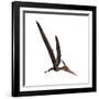 Pteranodon, a Reptilian Bird from the Late Cretaceous Period-null-Framed Art Print