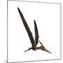 Pteranodon, a Reptilian Bird from the Late Cretaceous Period-null-Mounted Art Print