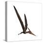Pteranodon, a Reptilian Bird from the Late Cretaceous Period-null-Stretched Canvas
