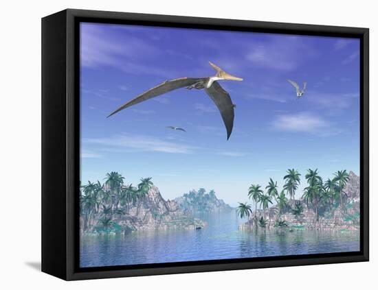 Pteranodon Birds Flying Above Islands with Palm Trees-null-Framed Stretched Canvas