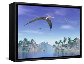 Pteranodon Birds Flying Above Islands with Palm Trees-null-Framed Stretched Canvas