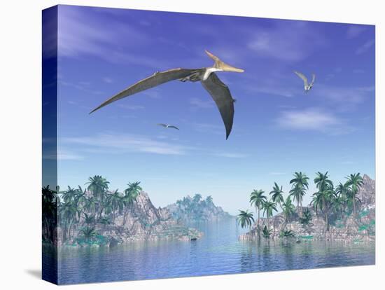 Pteranodon Birds Flying Above Islands with Palm Trees-null-Stretched Canvas