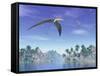 Pteranodon Birds Flying Above Islands with Palm Trees-null-Framed Stretched Canvas