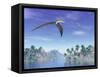 Pteranodon Birds Flying Above Islands with Palm Trees-null-Framed Stretched Canvas