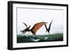 Pteranodon Catching a Fish-Francis Phillipps-Framed Giclee Print