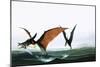 Pteranodon Catching a Fish-Francis Phillipps-Mounted Giclee Print