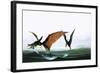 Pteranodon Catching a Fish-Francis Phillipps-Framed Giclee Print