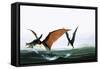 Pteranodon Catching a Fish-Francis Phillipps-Framed Stretched Canvas