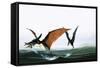 Pteranodon Catching a Fish-Francis Phillipps-Framed Stretched Canvas