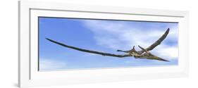 Pteranodon Dinosaur Flying in the Blue Sky-null-Framed Art Print