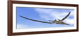 Pteranodon Dinosaur Flying in the Blue Sky-null-Framed Art Print