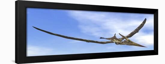 Pteranodon Dinosaur Flying in the Blue Sky-null-Framed Art Print