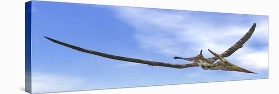 Pteranodon Dinosaur Flying in the Blue Sky-null-Stretched Canvas