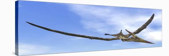 Pteranodon Dinosaur Flying in the Blue Sky-null-Stretched Canvas