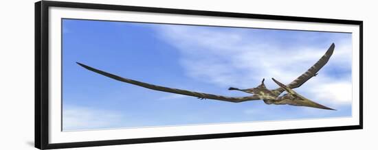 Pteranodon Dinosaur Flying in the Blue Sky-null-Framed Premium Giclee Print