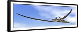 Pteranodon Dinosaur Flying in the Blue Sky-null-Framed Premium Giclee Print