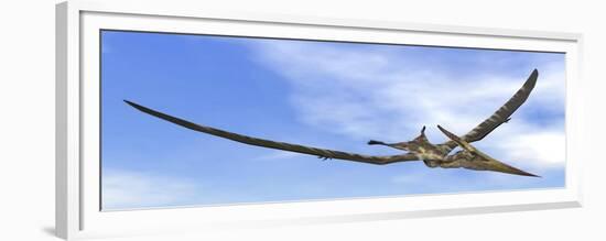 Pteranodon Dinosaur Flying in the Blue Sky-null-Framed Premium Giclee Print