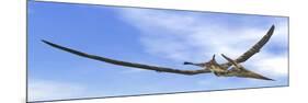 Pteranodon Dinosaur Flying in the Blue Sky-null-Mounted Premium Giclee Print