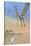 Pteranodon Fishing for Food-null-Stretched Canvas