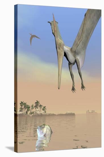 Pteranodon Fishing for Food-null-Stretched Canvas