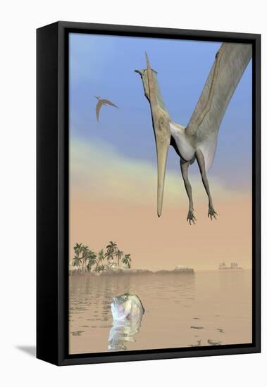Pteranodon Fishing for Food-null-Framed Stretched Canvas