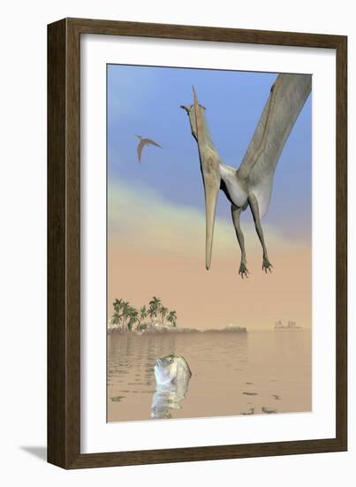 Pteranodon Fishing for Food-null-Framed Art Print
