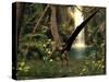 Pteranodon Pterosaur, Artwork-Friedrich Saurer-Stretched Canvas