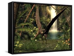 Pteranodon Pterosaur, Artwork-Friedrich Saurer-Framed Stretched Canvas