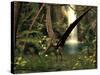 Pteranodon Pterosaur, Artwork-Friedrich Saurer-Stretched Canvas