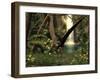 Pteranodon Pterosaur, Artwork-Friedrich Saurer-Framed Photographic Print