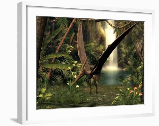 Pteranodon Pterosaur, Artwork-Friedrich Saurer-Framed Photographic Print