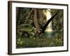 Pteranodon Pterosaur, Artwork-Friedrich Saurer-Framed Photographic Print