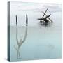 Pteranodon Pterosaur Diving Underwater Hunting for Fish-Stocktrek Images-Stretched Canvas