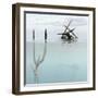 Pteranodon Pterosaur Diving Underwater Hunting for Fish-Stocktrek Images-Framed Art Print